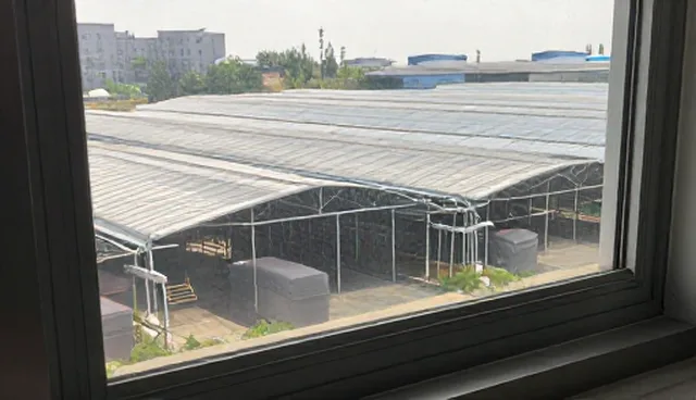 基础门卫服务的防范效果与适用条件分析